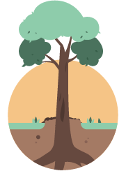 Asset 4