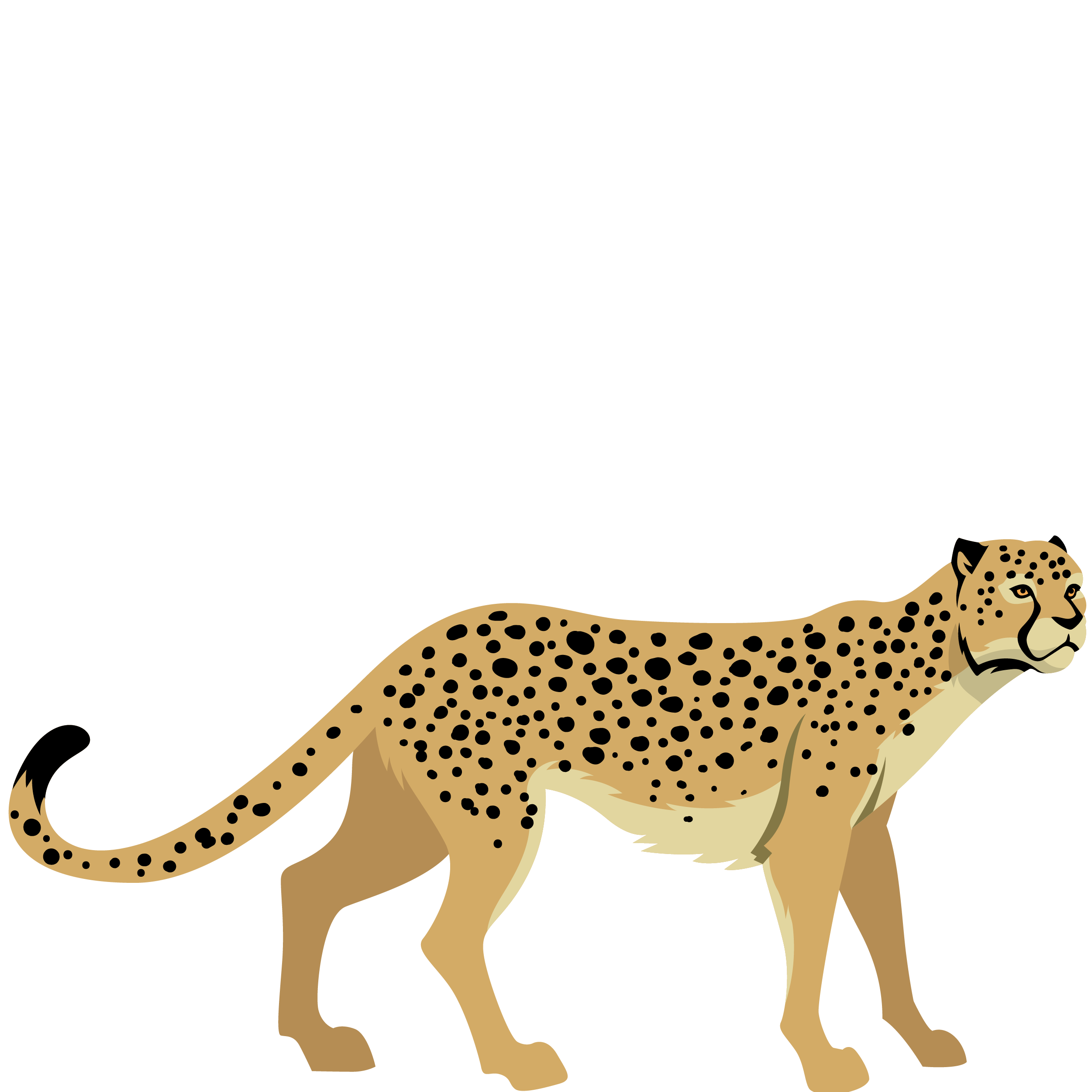 geopard 3