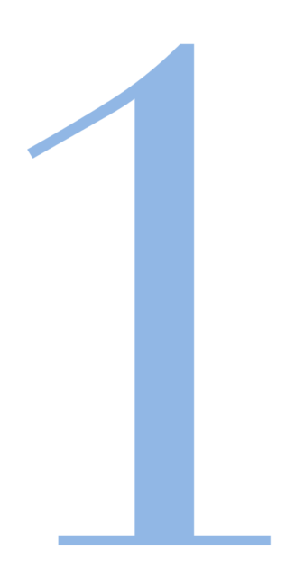 yesboss-1